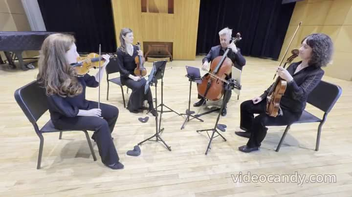 Catamount String Quartet